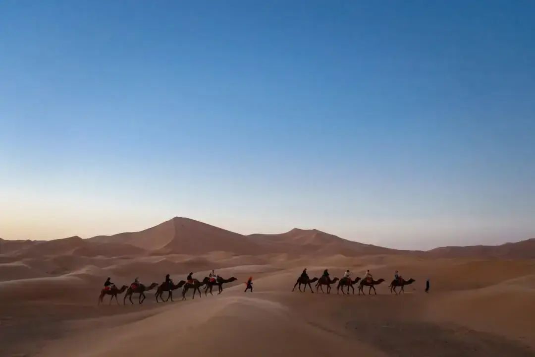 Eine Reihe von Kamelen und Reitern unter einer hohen Düne im blauen Licht nach Sonnenuntergang