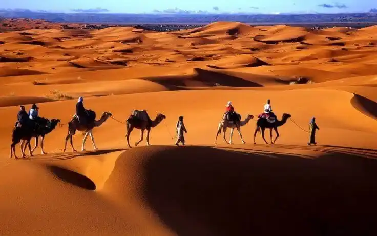 Une caravane de dromadaires sur les dunes orange de Merzouga