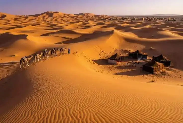 Een kamelenkaravaan trekt over de duinen naar een woestijnkamp in de Erg Chebbi