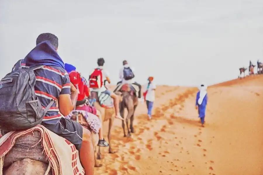 View from a camel of a group trekking up an Erg Chebbi dune behind their guides